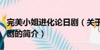 完美小姐進化論日劇(關于完美小姐進化論日劇的簡介)