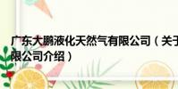 廣東大鵬液化天然氣有限公司(關于廣東大鵬液化天然氣有限公司介紹)