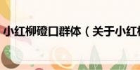 小紅柳磴口群體(關于小紅柳磴口群體簡介)