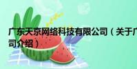 廣東天京網絡科技有限公司(關于廣東天京網絡科技有限公司介紹)