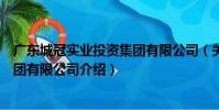 廣東城冠實業投資集團有限公司(關于廣東城冠實業投資集團有限公司介紹)