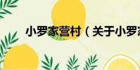 小羅家營村(關于小羅家營村簡介)