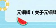 元鈿輝(關于元鈿輝的簡介)