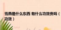 雪燕是什么東西 有什么功效貴嗎(雪燕是什么東西 有什么功效)
