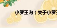 小羅王溝(關于小羅王溝簡介)