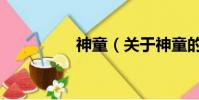 神童(關于神童的簡介)