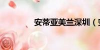 安蒂亞美蘭深圳(安蒂亞)