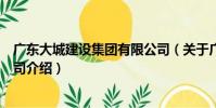 廣東大城建設集團有限公司(關于廣東大城建設集團有限公司介紹)