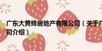 廣東大黃蜂房地產有限公司(關于廣東大黃蜂房地產有限公司介紹)
