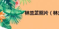 林蘭芷照片(林蘭芷)