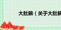 大肚腩(關于大肚腩的簡介)