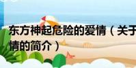 東方神起危險的愛情(關于東方神起危險的愛情的簡介)
