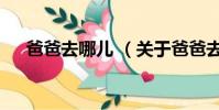 爸爸去哪兒 (關于爸爸去哪兒 的簡介)