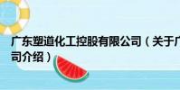 廣東塑道化工控股有限公司(關于廣東塑道化工控股有限公司介紹)