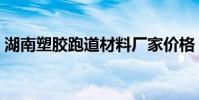 湖南塑膠跑道材料廠家價格(湖南塑膠跑道)