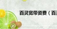 百靈寬帶資費(百靈寬帶)