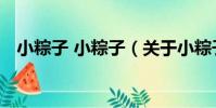 小粽子 小粽子(關于小粽子 小粽子簡介)