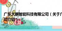 廣東大鵬智能科技有限公司(關于廣東大鵬智能科技有限公司介紹)