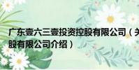 廣東壹六三壹投資控股有限公司(關于廣東壹六三壹投資控股有限公司介紹)