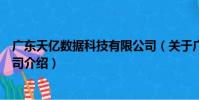 廣東天億數據科技有限公司(關于廣東天億數據科技有限公司介紹)