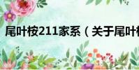 尾葉桉211家系(關于尾葉桉211家系簡介)