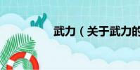武力(關于武力的簡介)