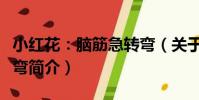 小紅花:腦筋急轉彎(關于小紅花:腦筋急轉彎簡介)
