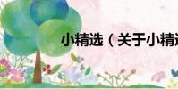 小精選(關于小精選簡介)