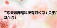 廣東天盟網絡科技有限公司(關于廣東天盟網絡科技有限公司介紹)