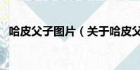 哈皮父子圖片(關于哈皮父子圖片的簡介)