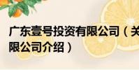 廣東壹號投資有限公司(關于廣東壹號投資有限公司介紹)