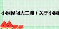 小翻譯闖大二灘(關于小翻譯闖大二灘簡介)