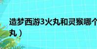 造夢西游3火丸和靈猴哪個好(造夢西游3火丸)