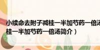 小續命去附子減桂一半加芍藥一倍湯(關于小續命去附子減桂一半加芍藥一倍湯簡介)