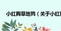 小紅胸草地鷚(關于小紅胸草地鷚簡介)