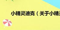小精靈迪克(關于小精靈迪克簡介)