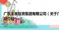 廣東壬豐投資集團有限公司(關于廣東壬豐投資集團有限公司介紹)