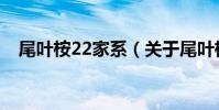尾葉桉22家系(關于尾葉桉22家系簡介)