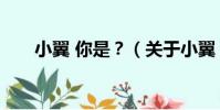 小翼 你是?(關于小翼 你是?簡介)