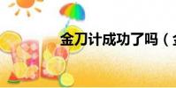 金刀計成功了嗎(金刀計)