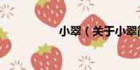 小翠(關于小翠簡介)