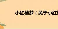 小紅樓夢(關于小紅樓夢簡介)