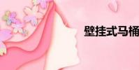 壁掛式馬桶