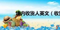境內收貨人英文(收貨人英文)