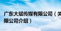 廣東大斌傳媒有限公司(關于廣東大斌傳媒有限公司介紹)