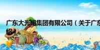 廣東大光明集團有限公司(關于廣東大光明集團有限公司介紹)