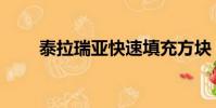 泰拉瑞亞快速填充方塊(填充方塊)