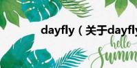 dayfly(關于dayfly的簡介)