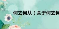 何去何從(關于何去何從的簡介)