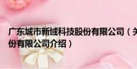 廣東城市新域科技股份有限公司(關于廣東城市新域科技股份有限公司介紹)